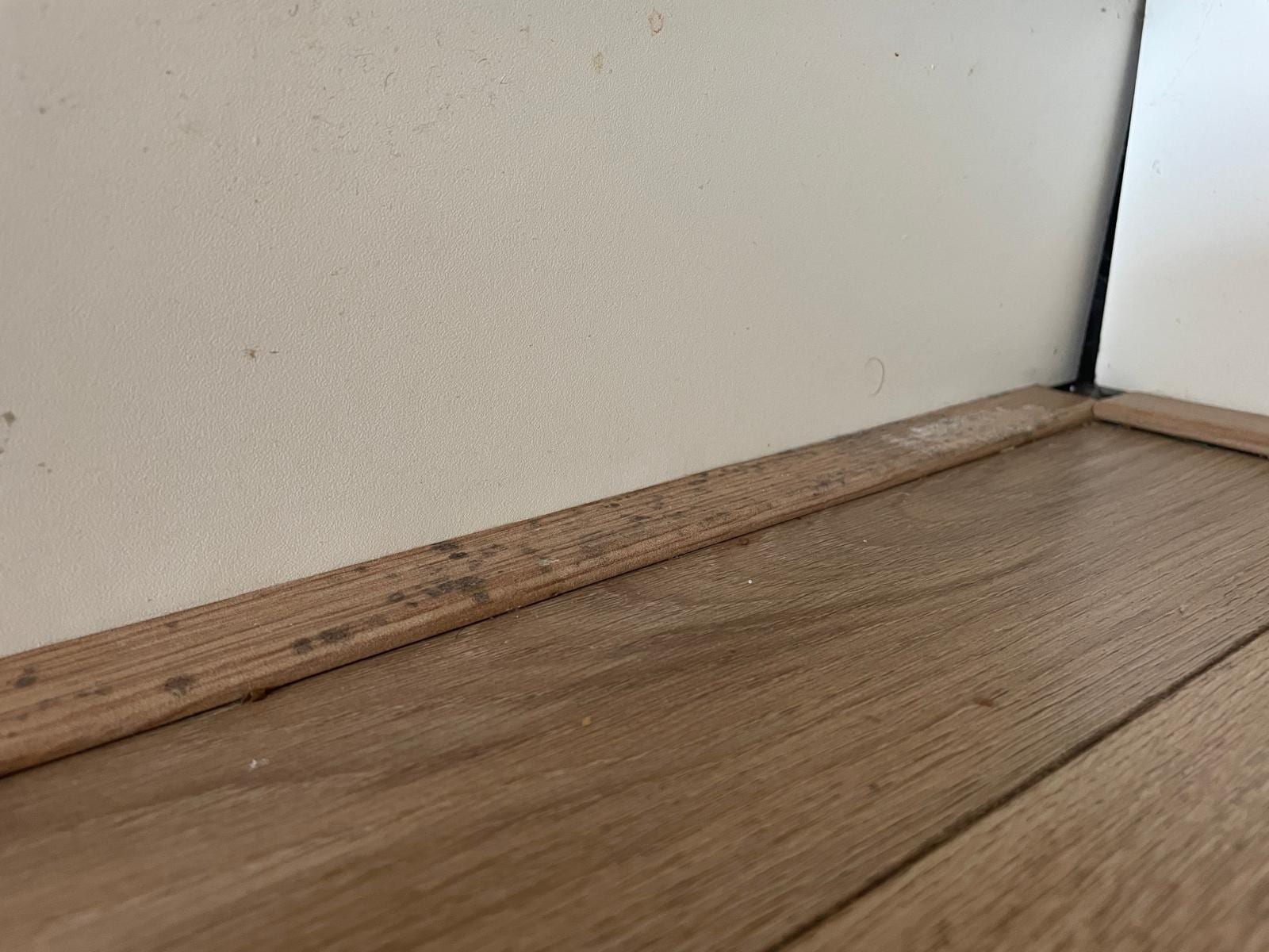 Schimmelige Fußleisten