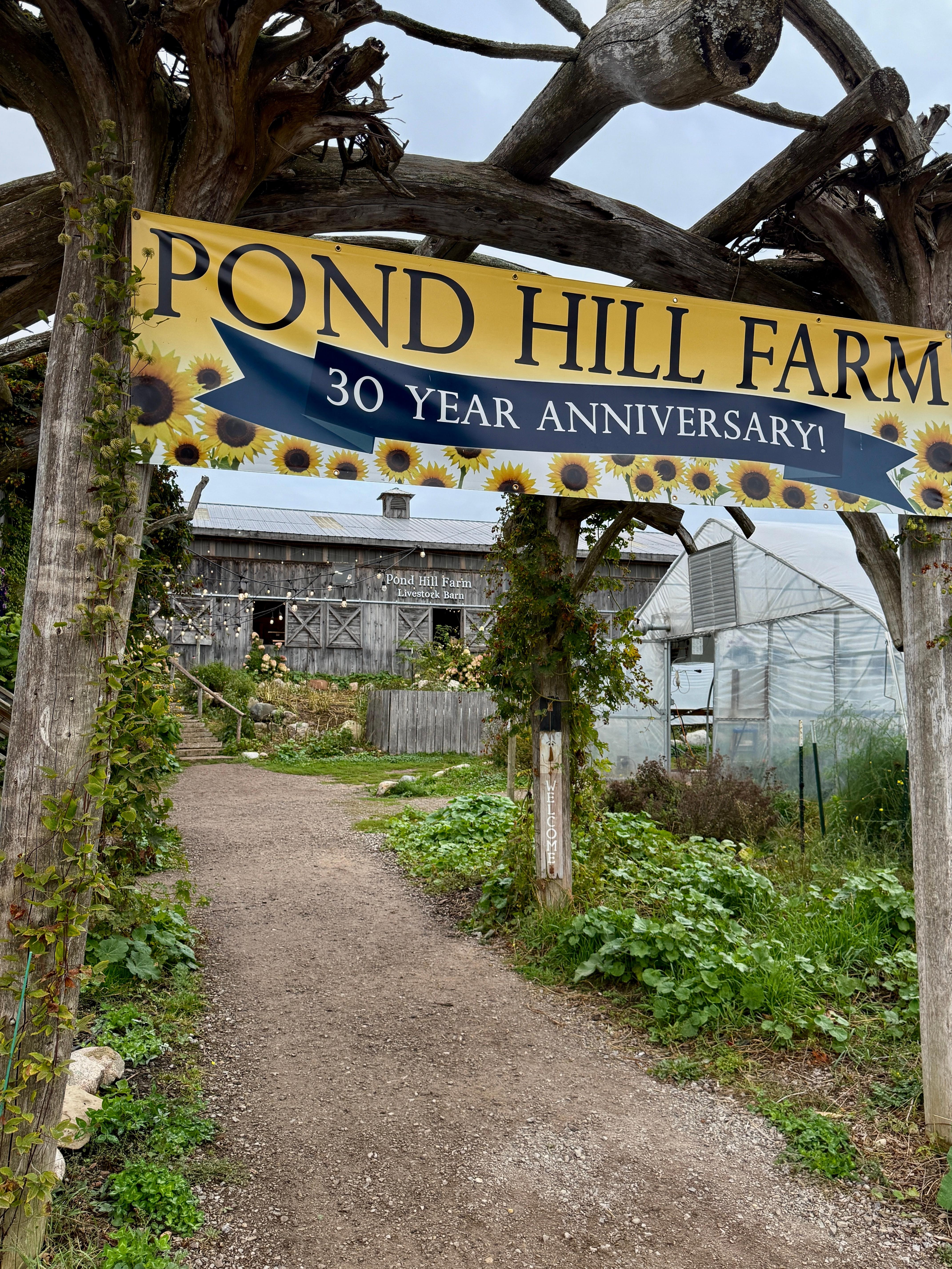 Take time to stop at Pond Hill Farm. It is a great experience.