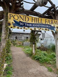 Take time to stop at Pond Hill Farm. It is a great experience.