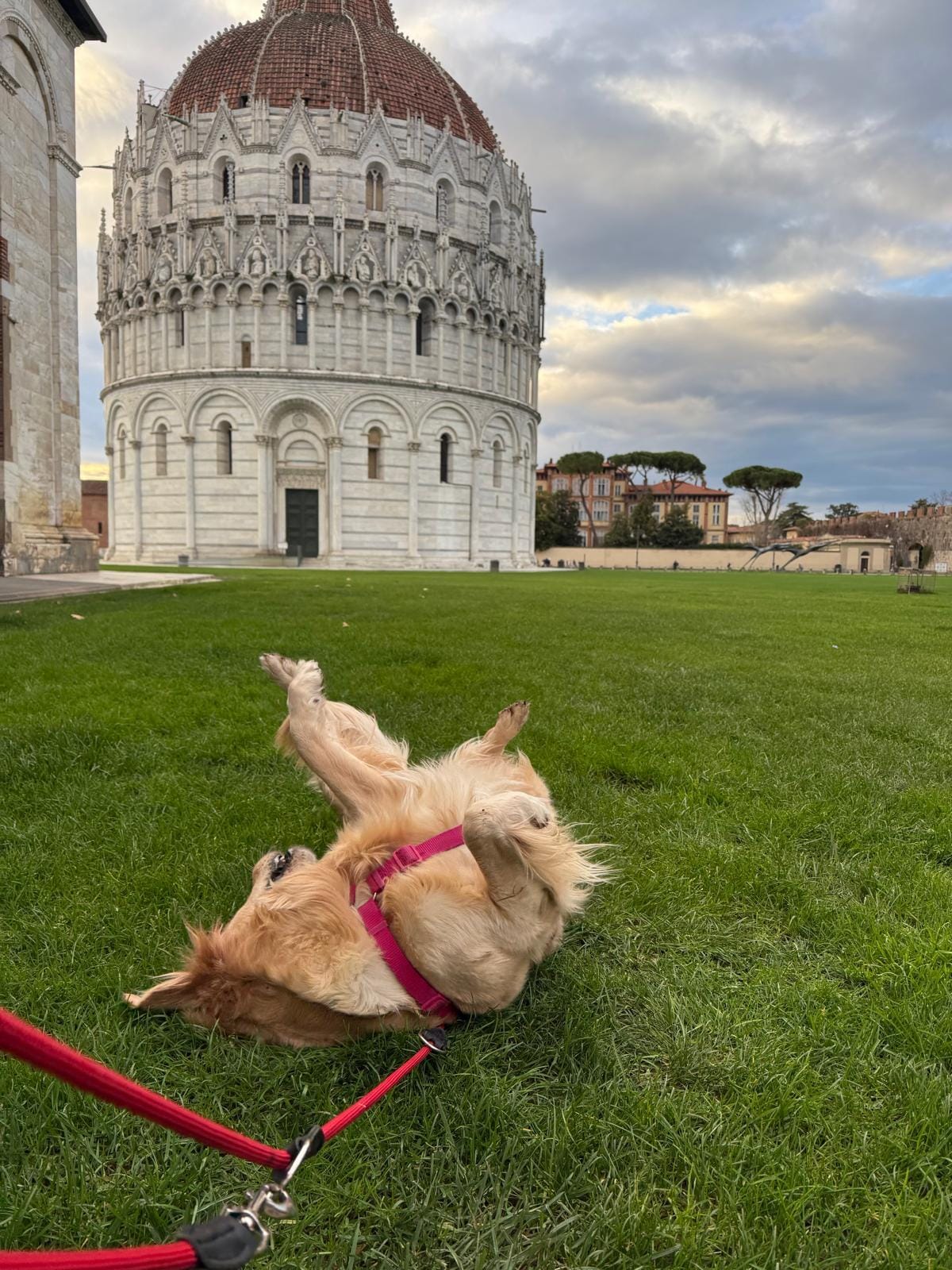 Il Battistero in Piazza dei Miracoli, early morning, con Ginger :)