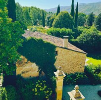 view from the Suite