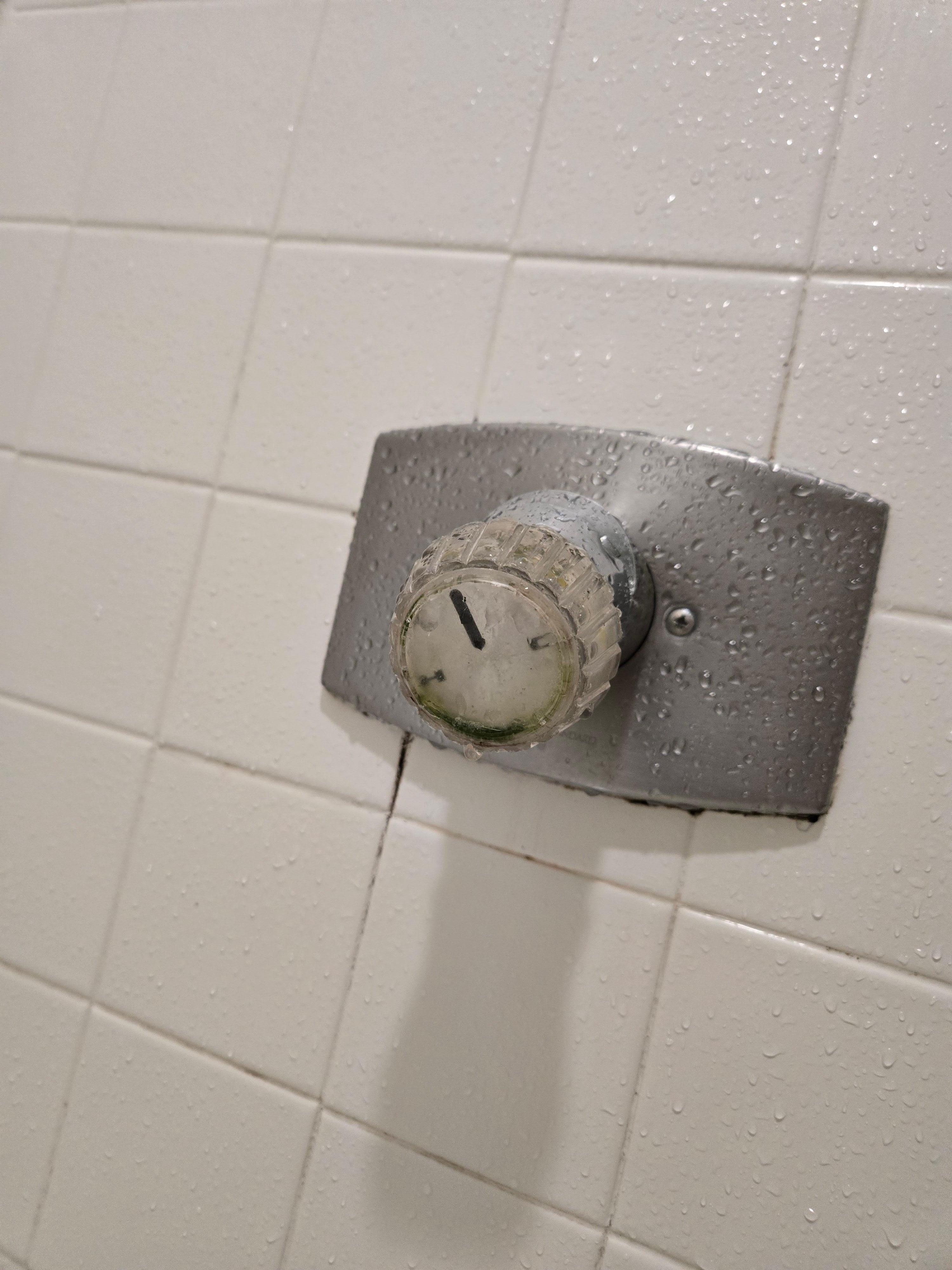 The shower was gross