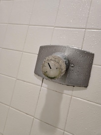 The shower was gross