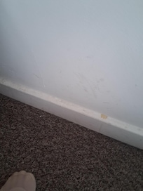 Dirty skirting board