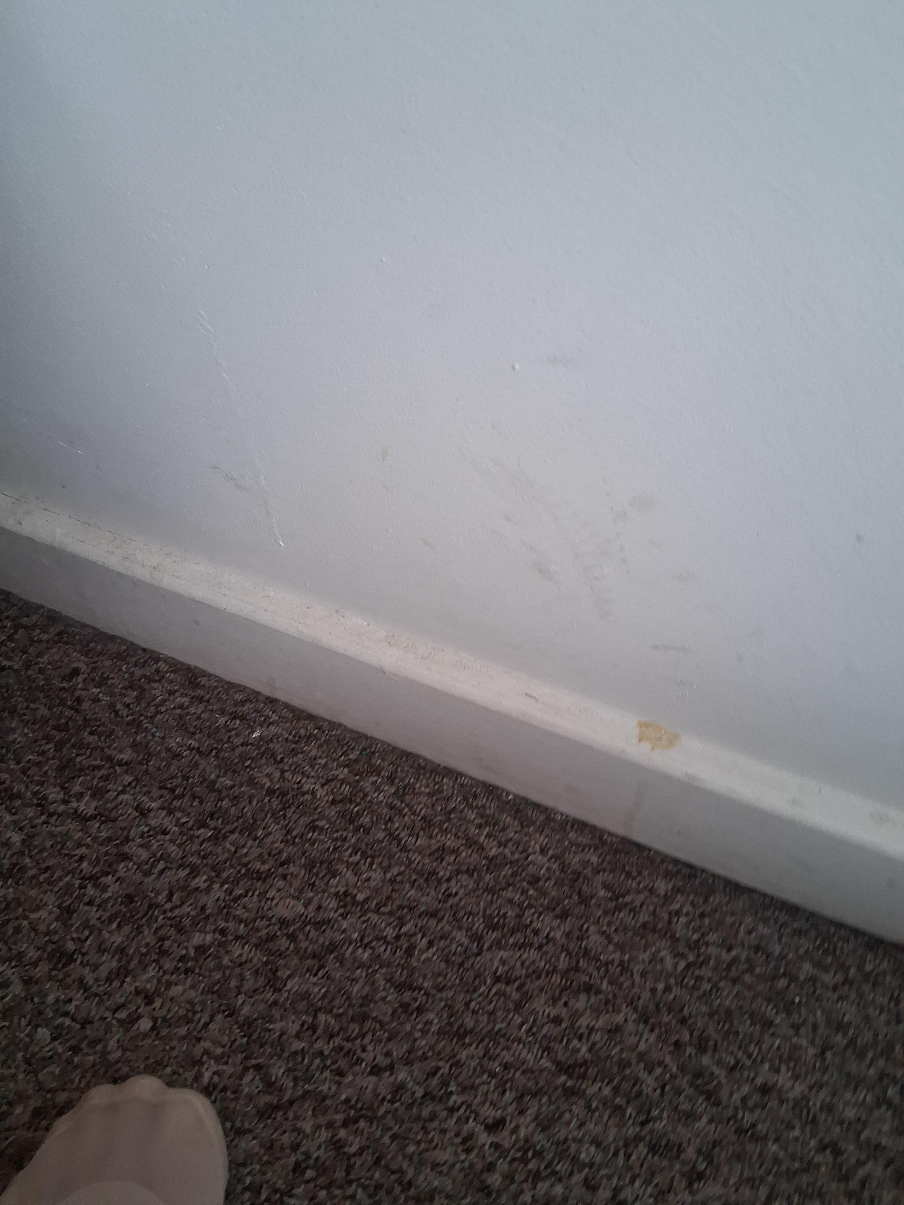 Dirty skirting board
