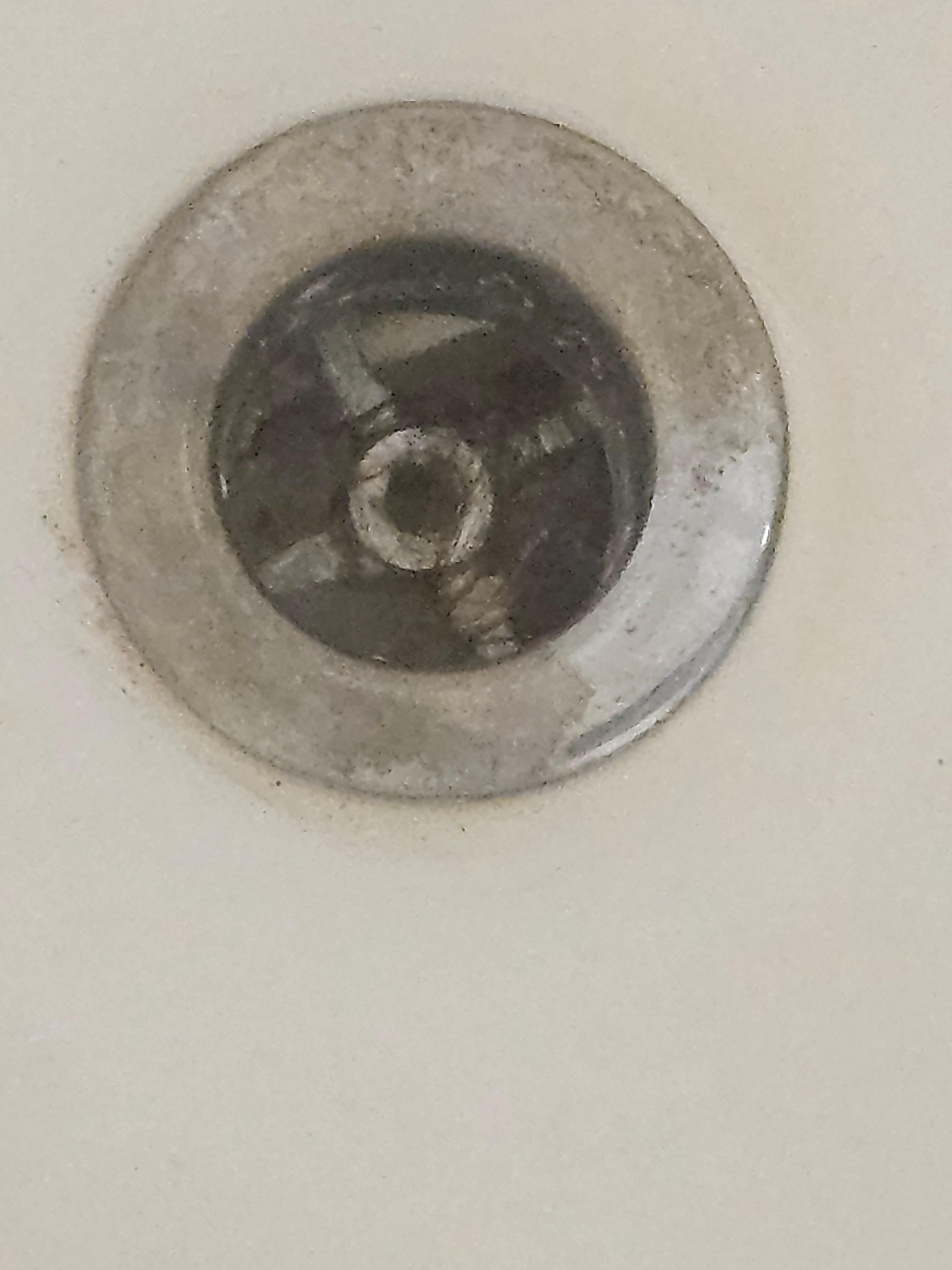 Shower/ tub drain. 