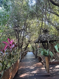 Walk way out by the beach