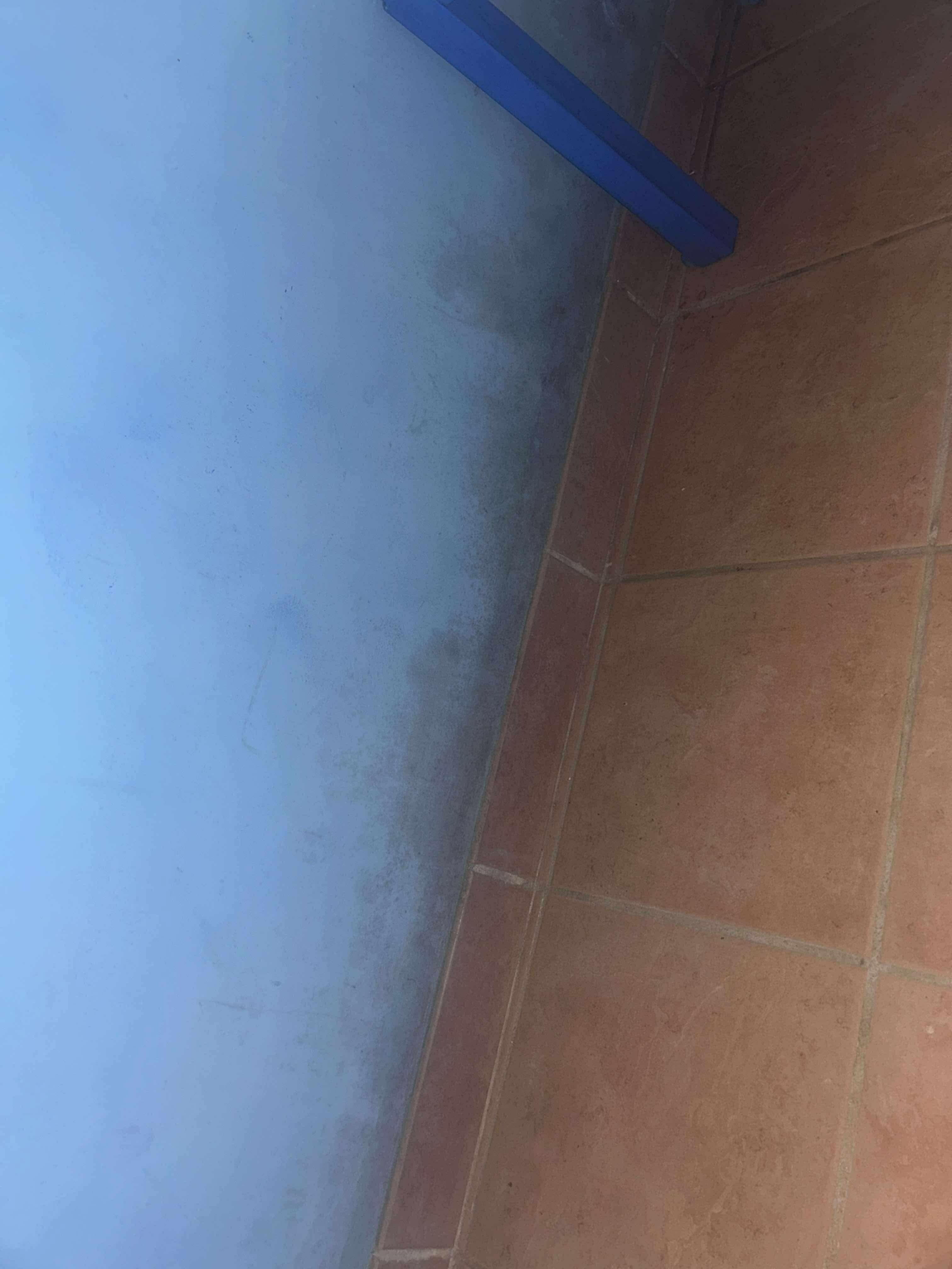 Mould around the room