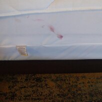On mattress cover. Room231