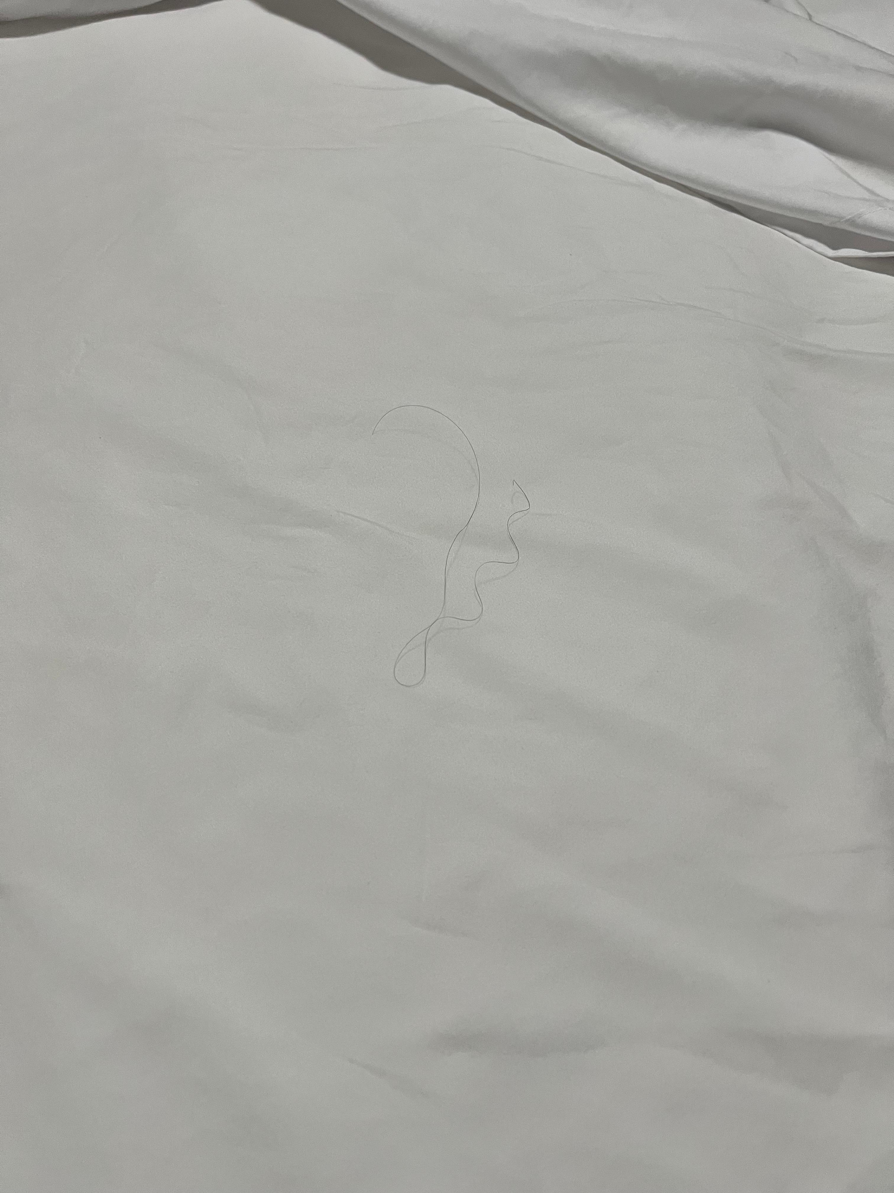 There were multiple dark curly hairs in the bed