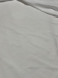 There were multiple dark curly hairs in the bed