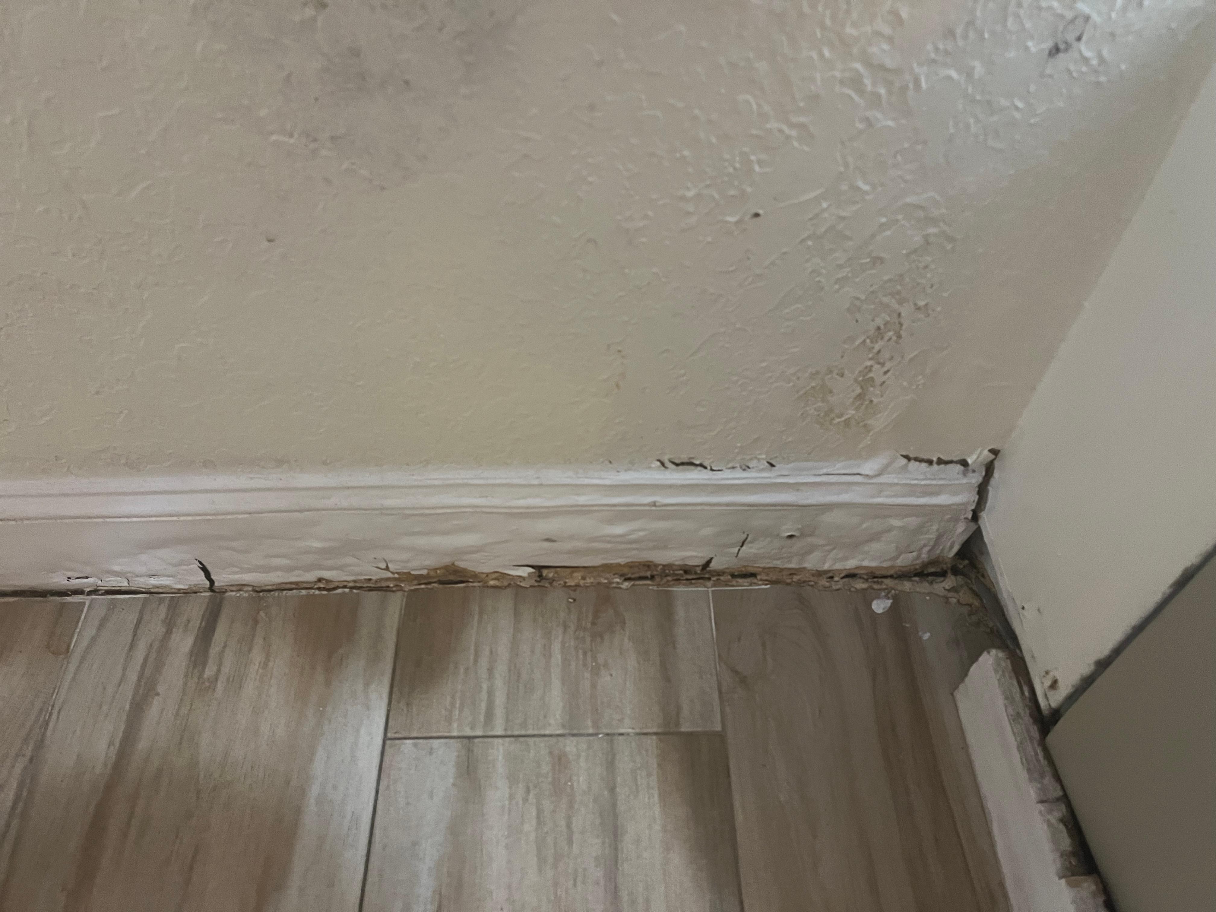 Black Mold on floor near a/c