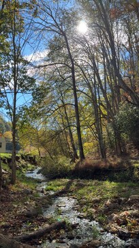 creekside