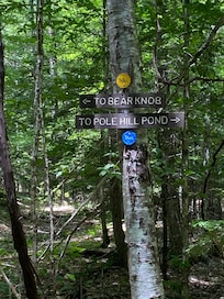 Pole Hill Pond