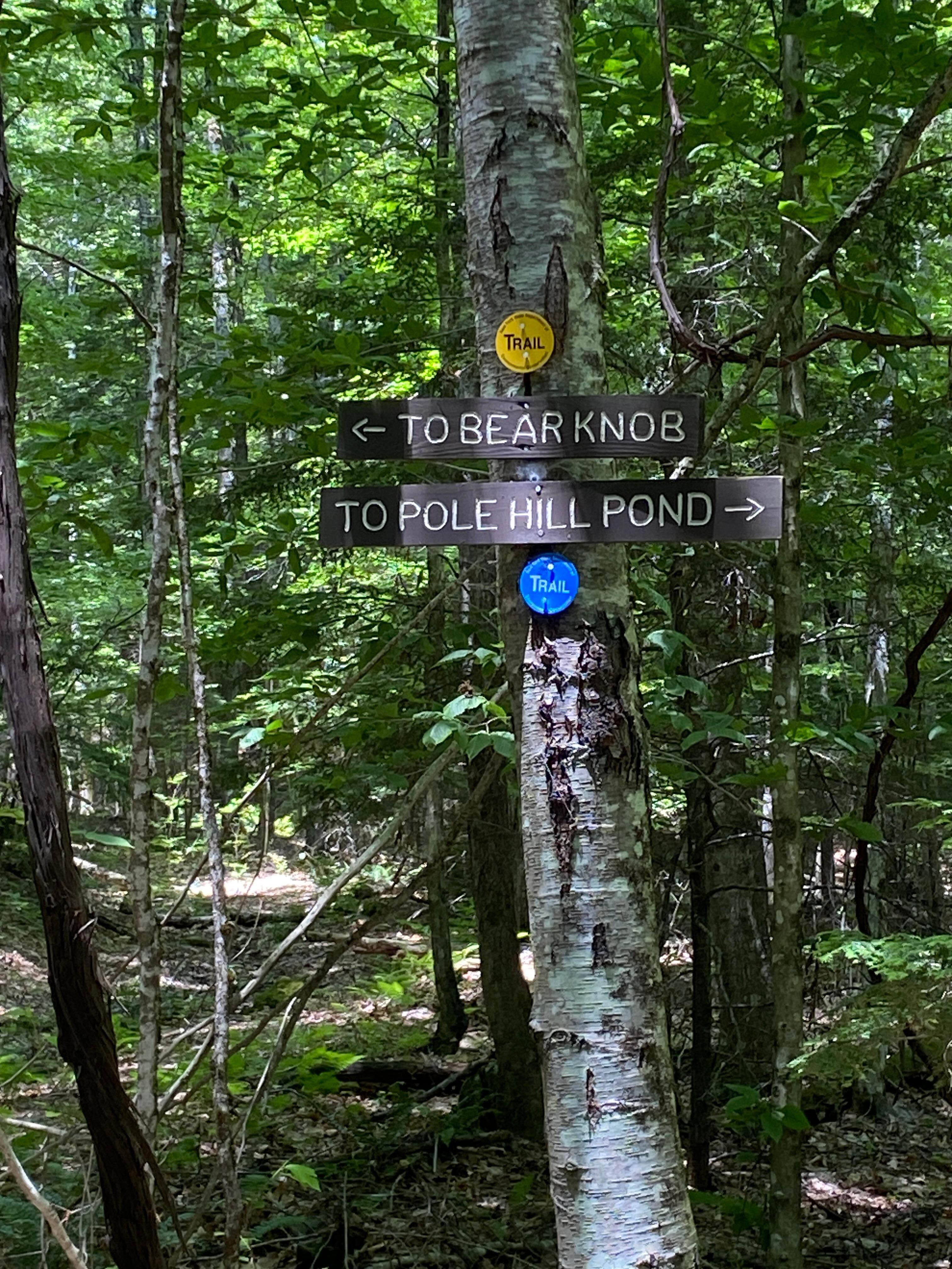 Pole Hill Pond