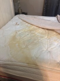 Mattress, we found that when stripping the bed upon leaving