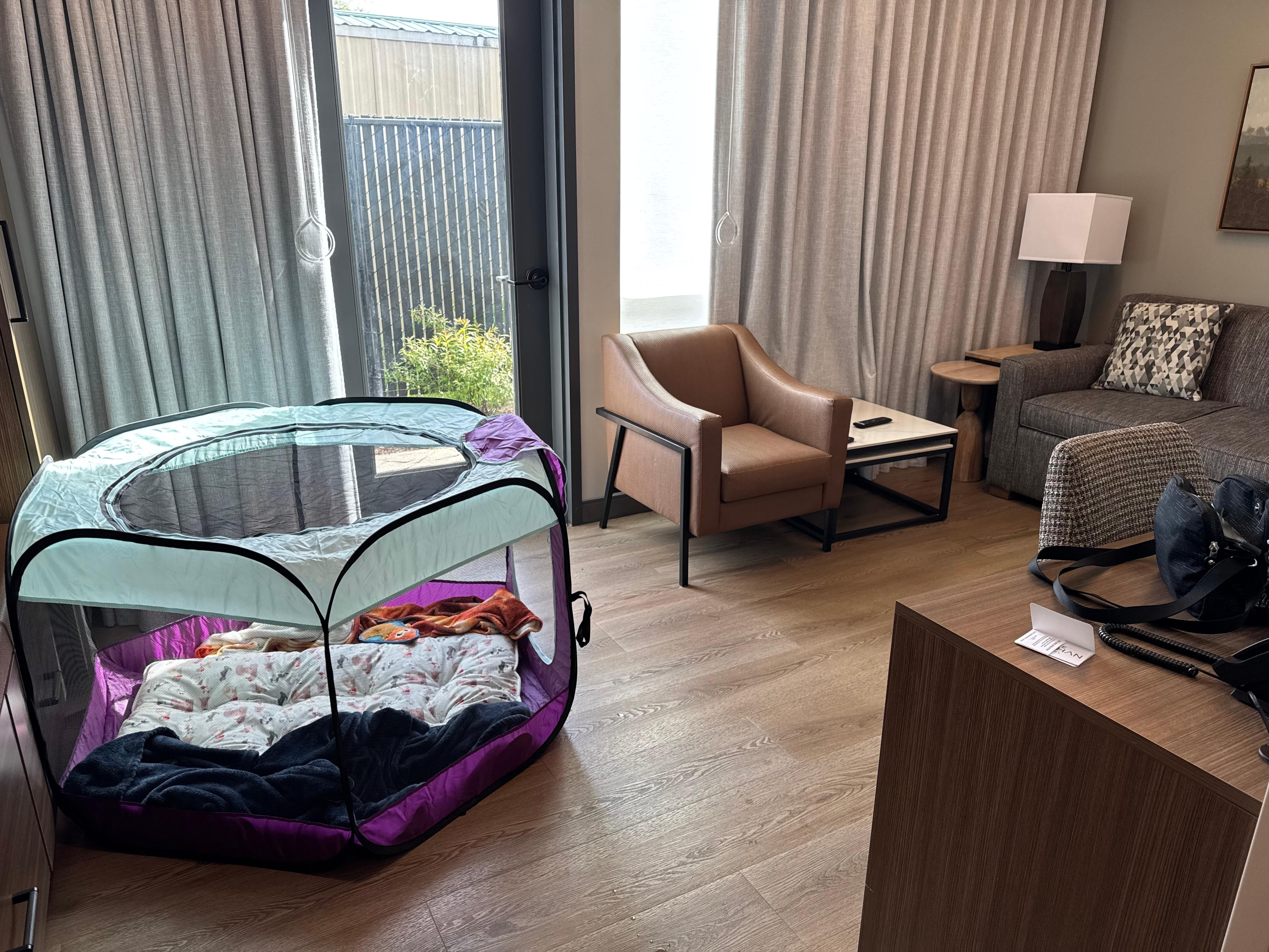 Plenty of room in living room for doggie playpen