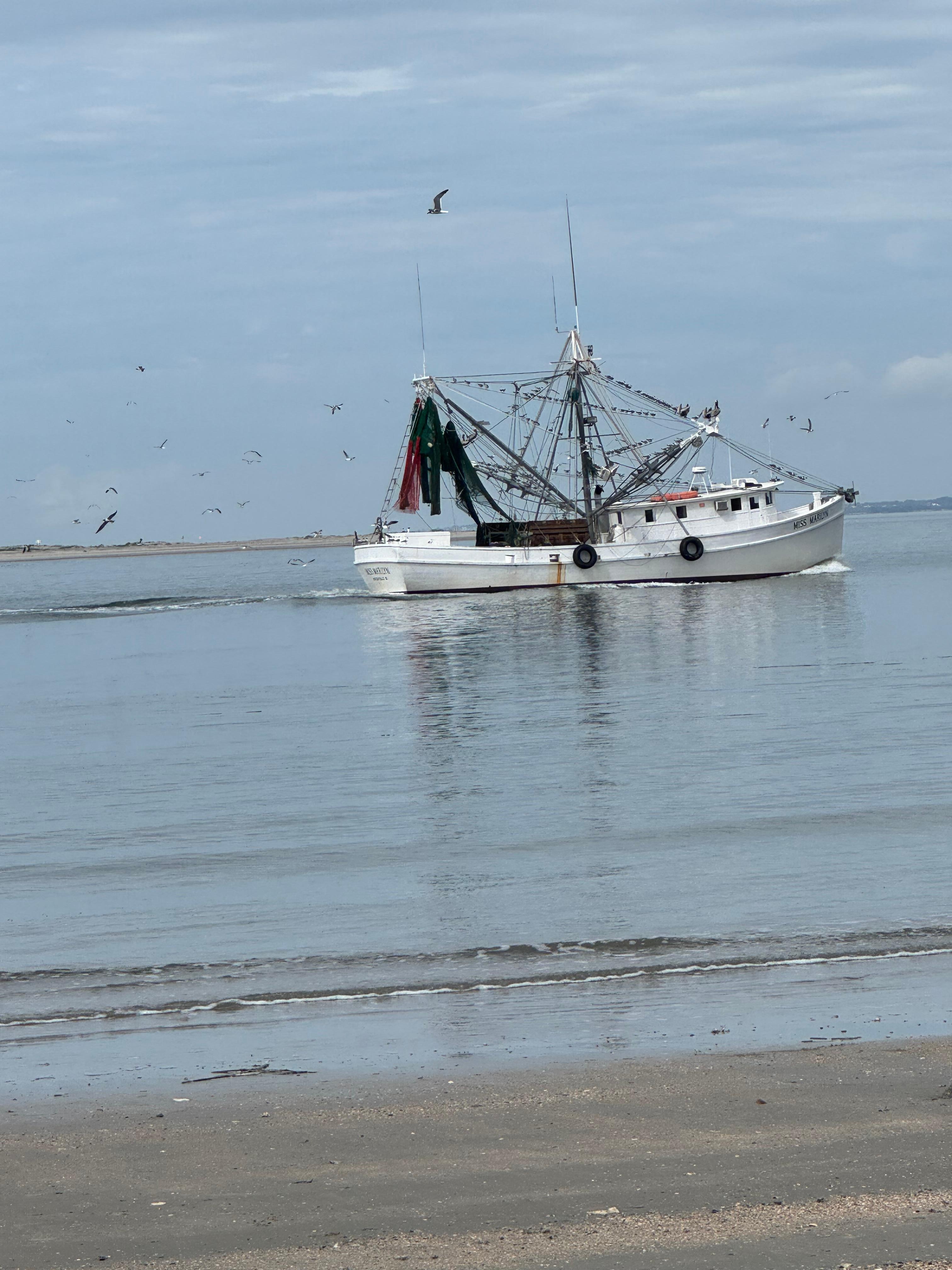 One of the many fishing boats