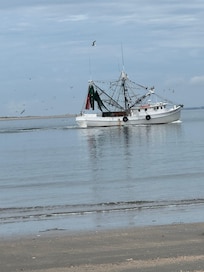 One of the many fishing boats