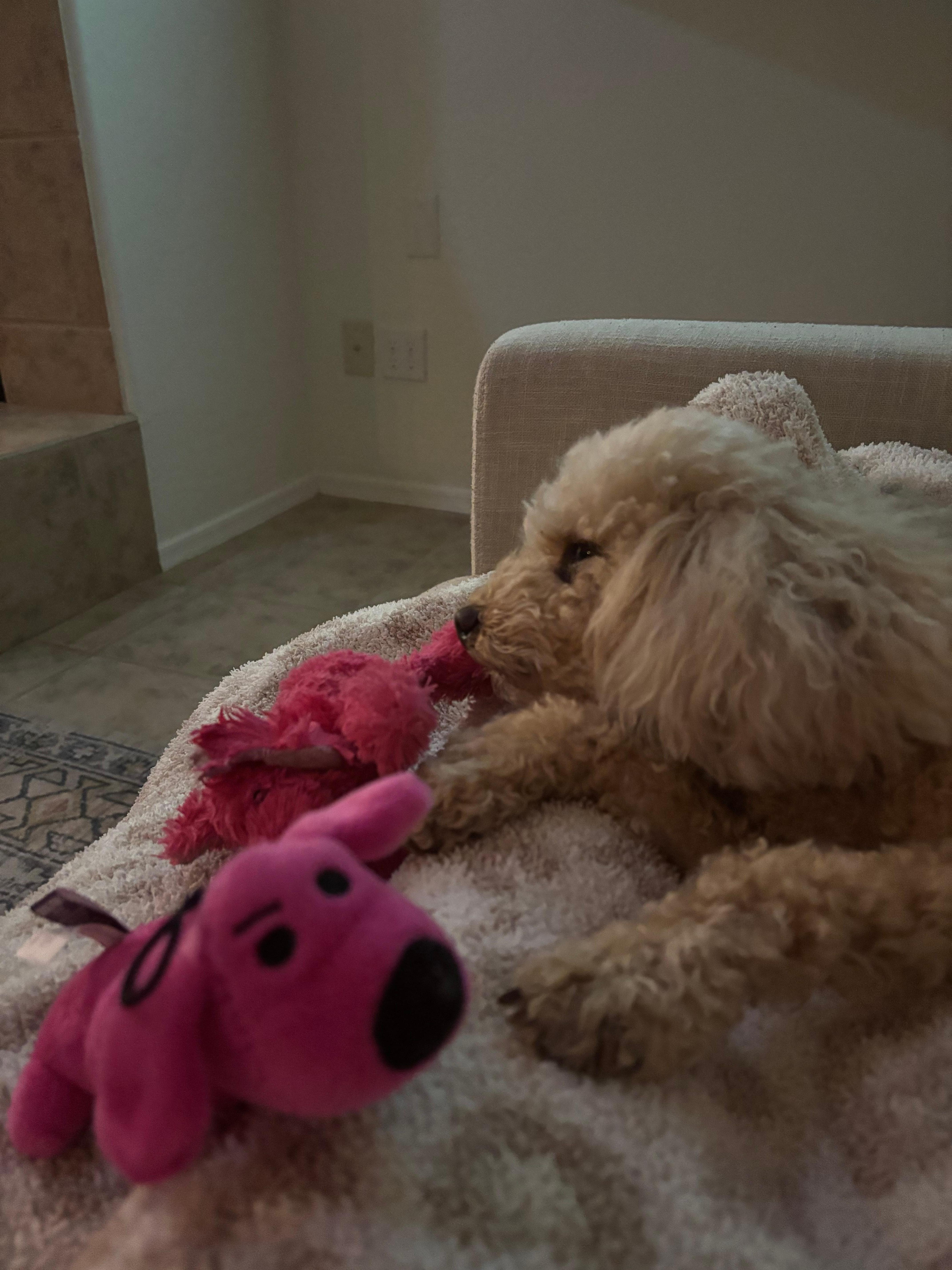 After a fun day at the park.