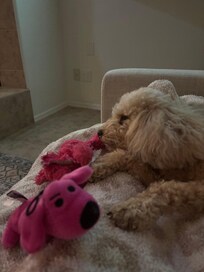 After a fun day at the park.