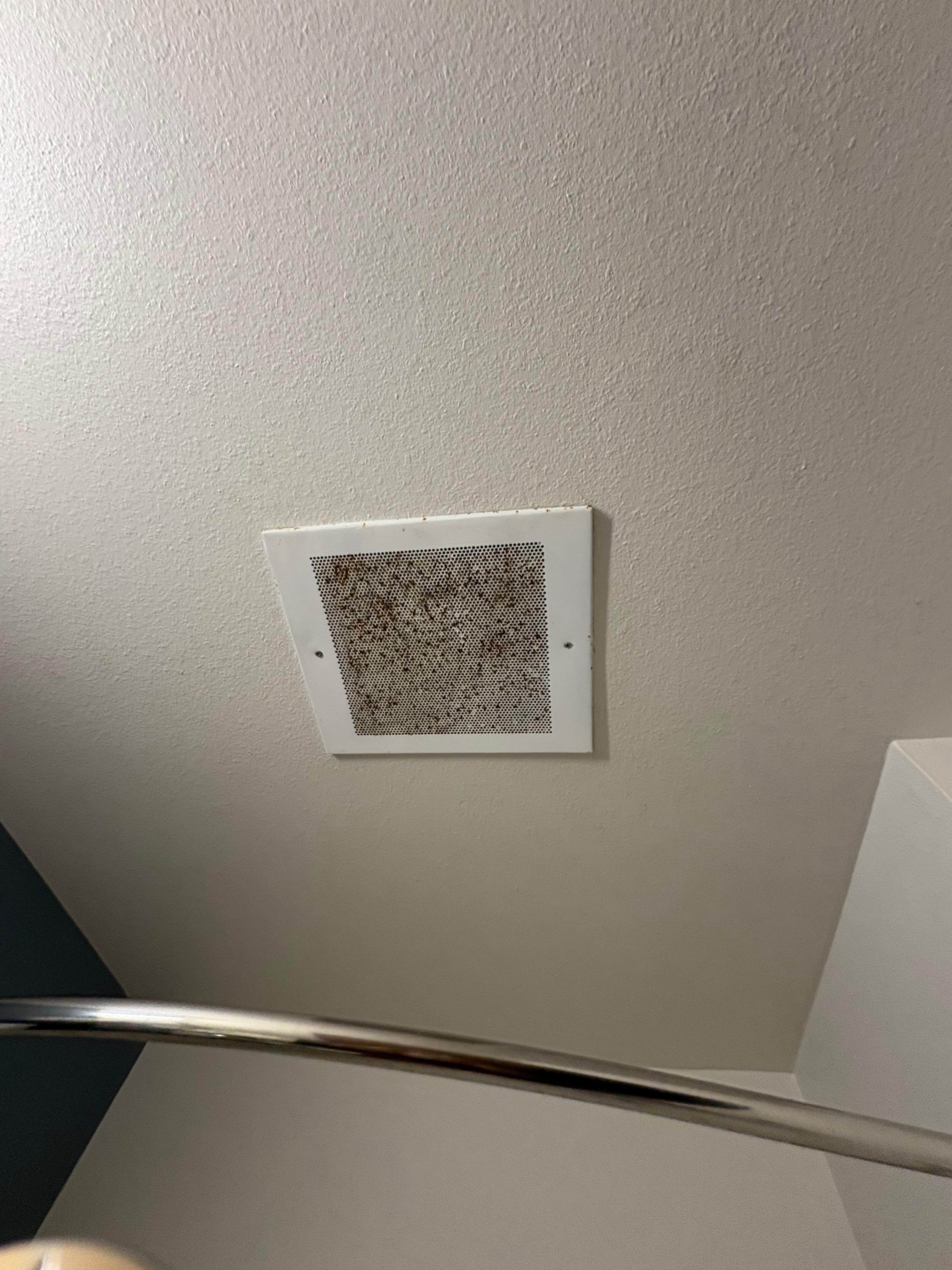 Filthy bathroom vent 