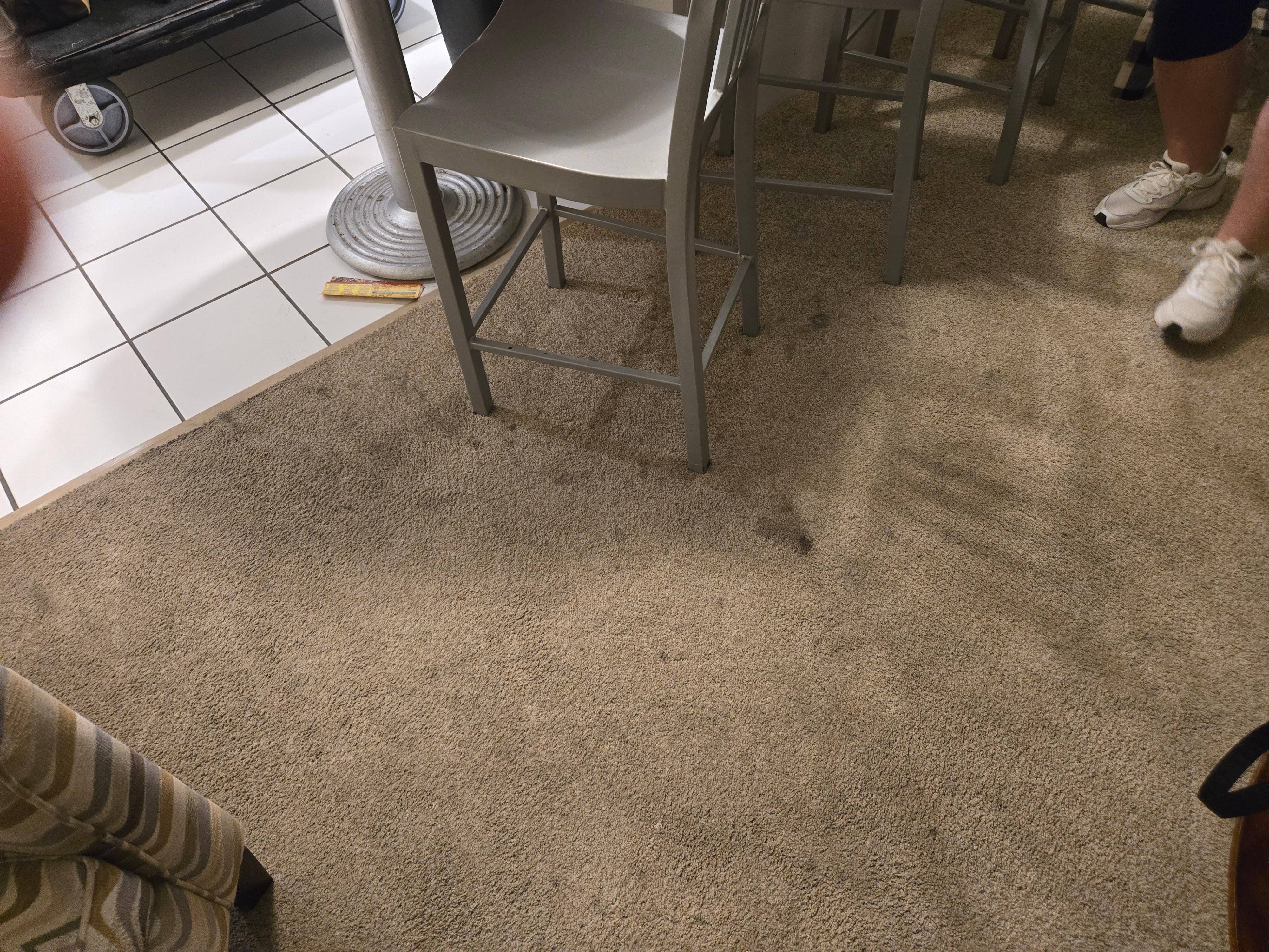 Dirty carpet