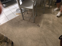 Dirty carpet