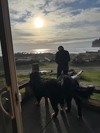great sunsets, and dog friendly
