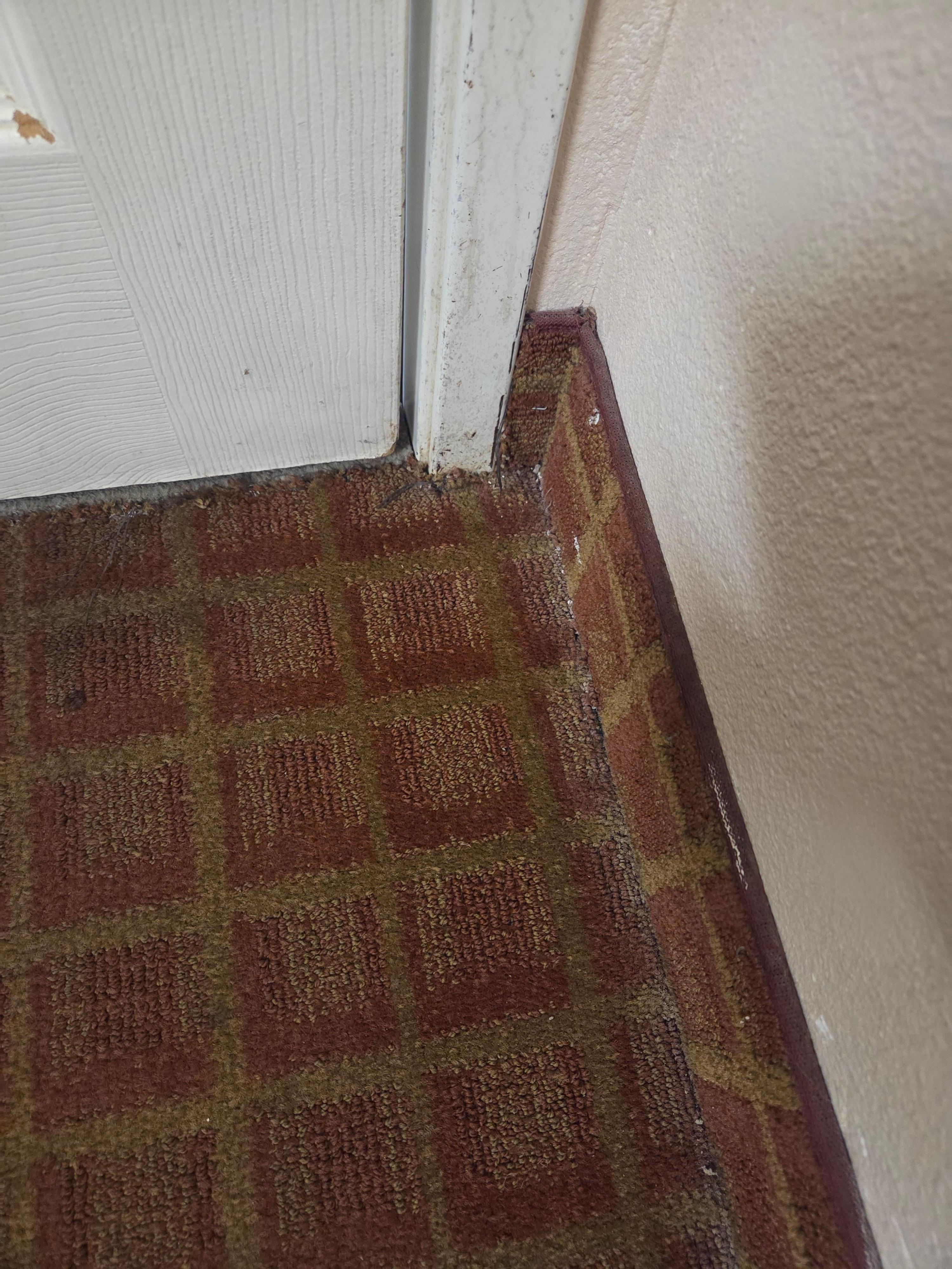 Floors were dirty and stained