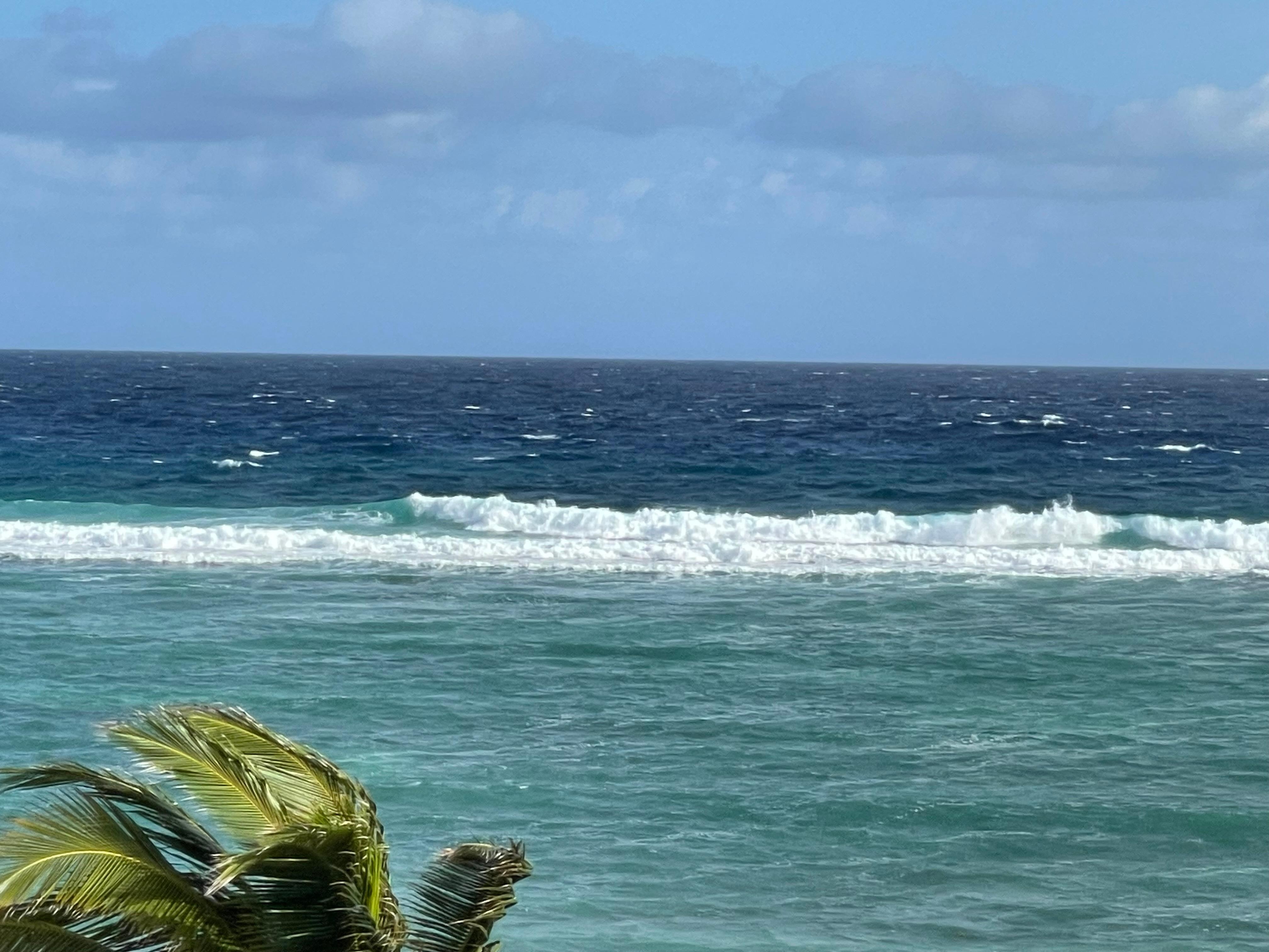 High waves crashing over the reef