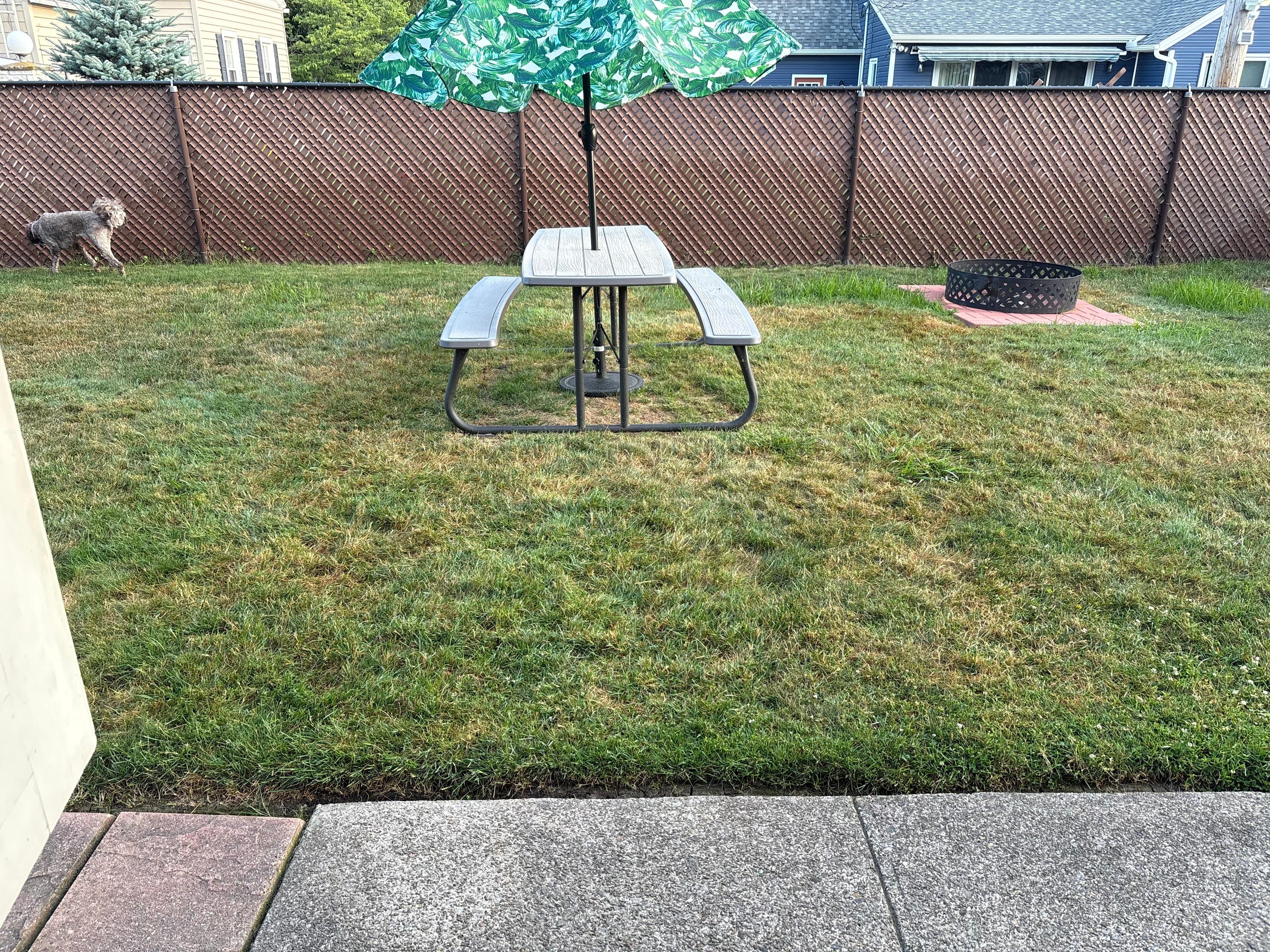 Cute and enclosed backyard 