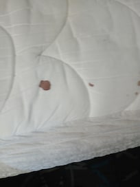 Blood stains on bed cover after removing the bedding with stain and cigarette burns
