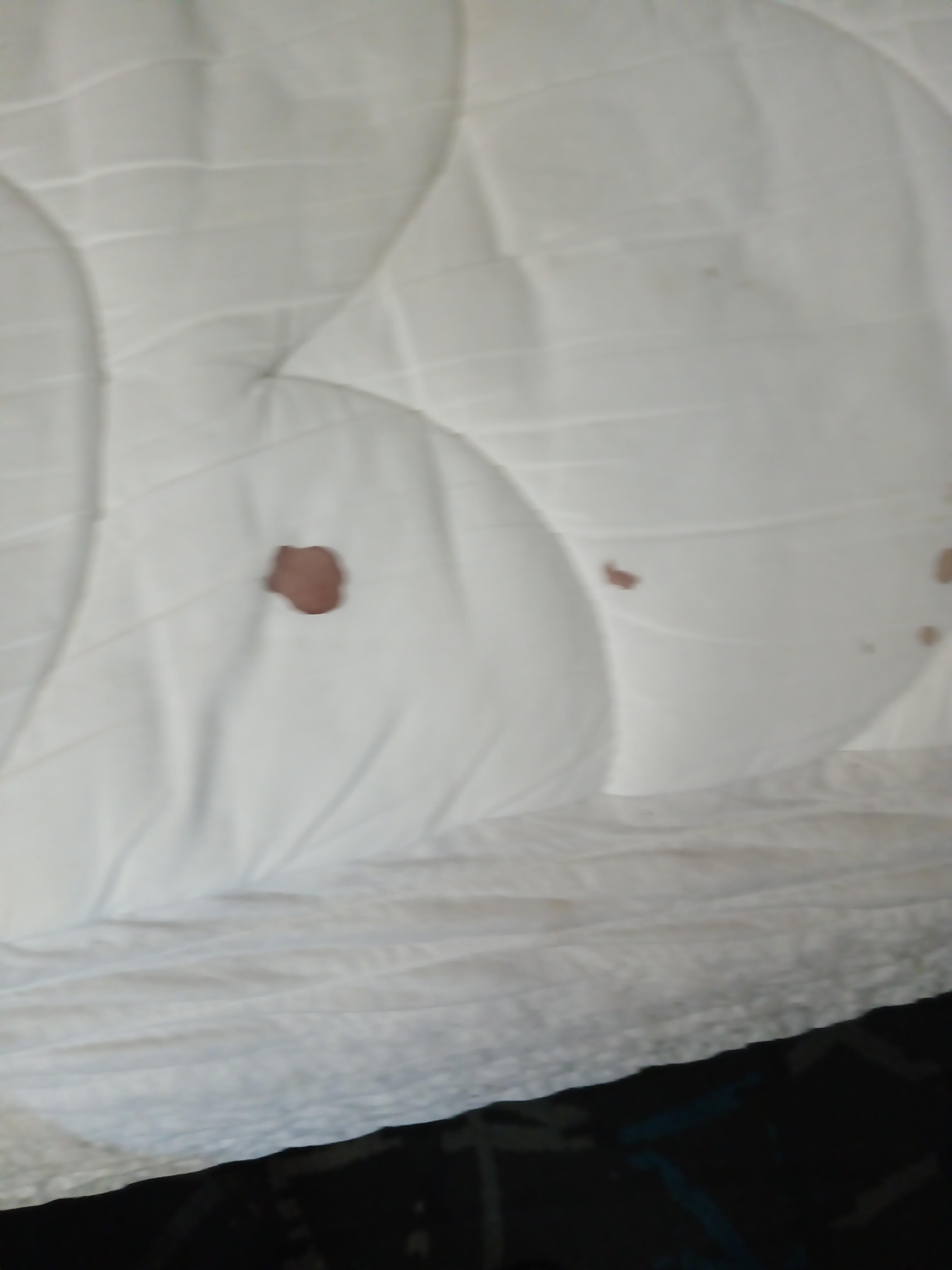 Blood stains on bed cover after removing the bedding with stain and cigarette burns