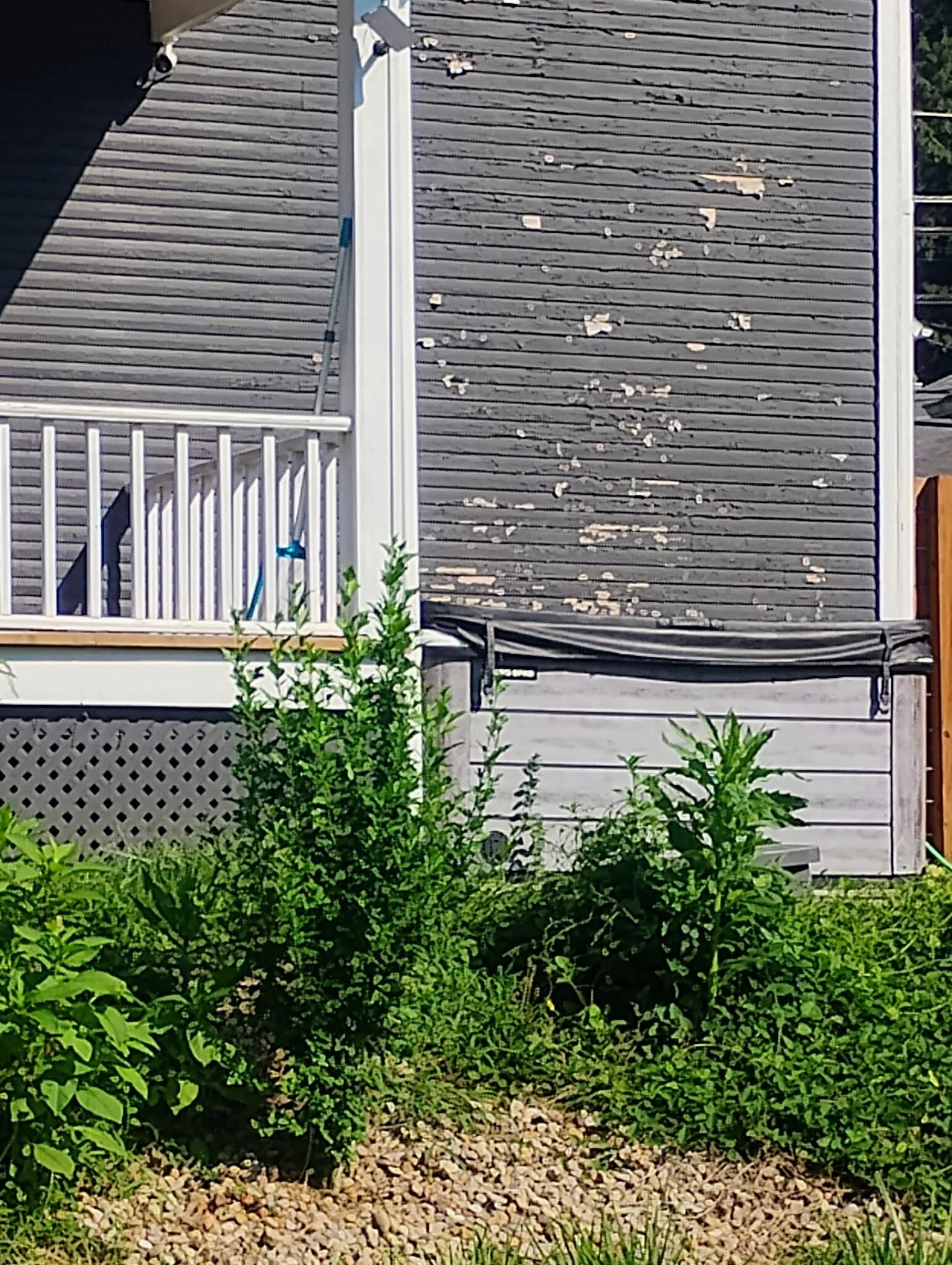 Paint peeling 