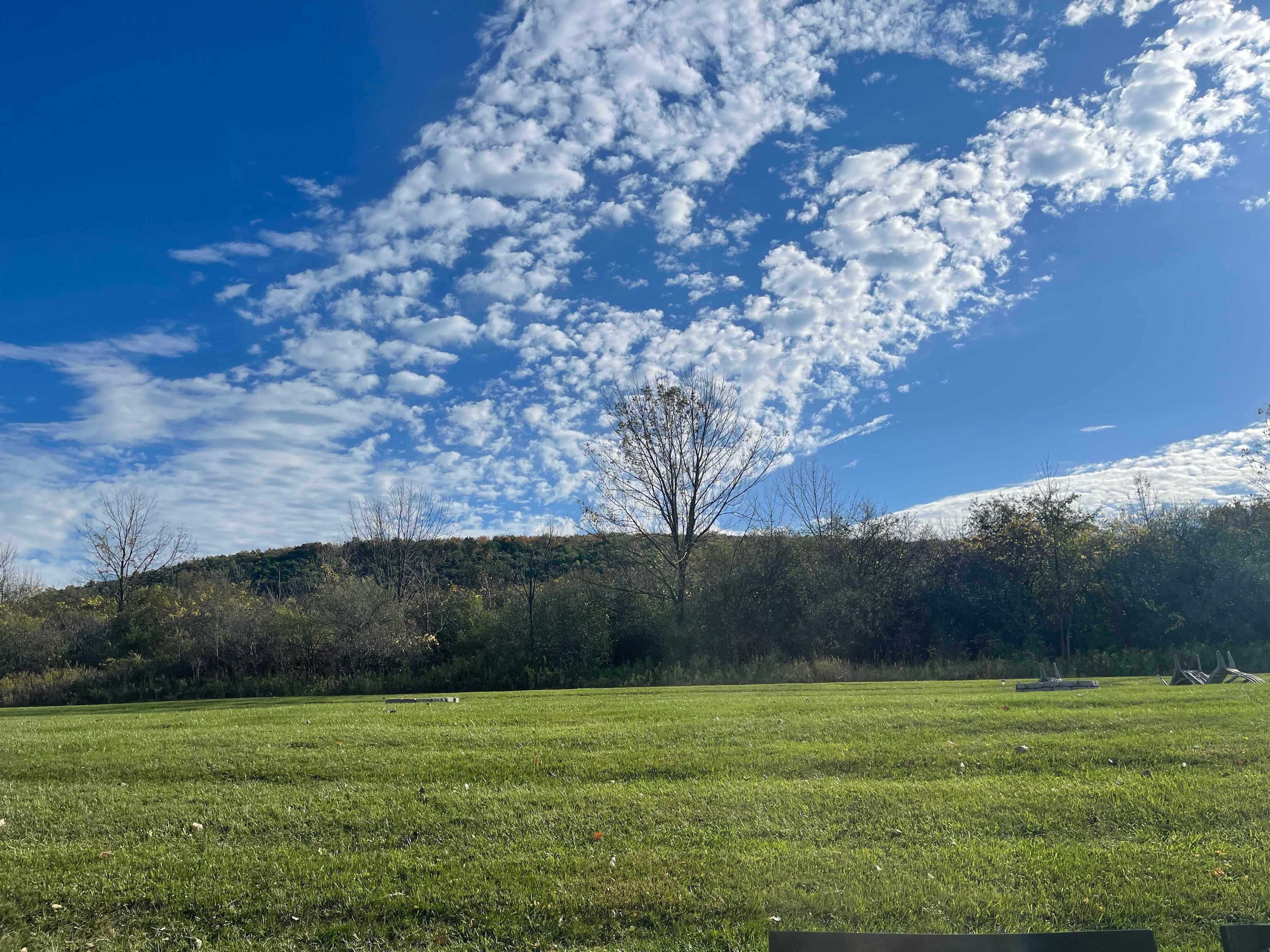 View out the back yard. 