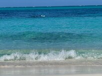 Water in front of Coral Gardens