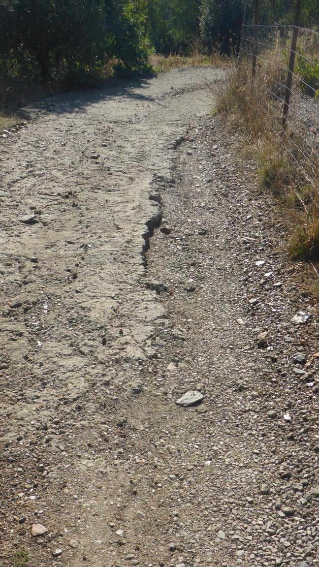 Um den Untiefen auszuweichen, musste man in die Dornenhecke ausweichen
