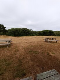 Back Yard View
