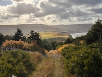 Looking from top of private driveway to Meagan’s house