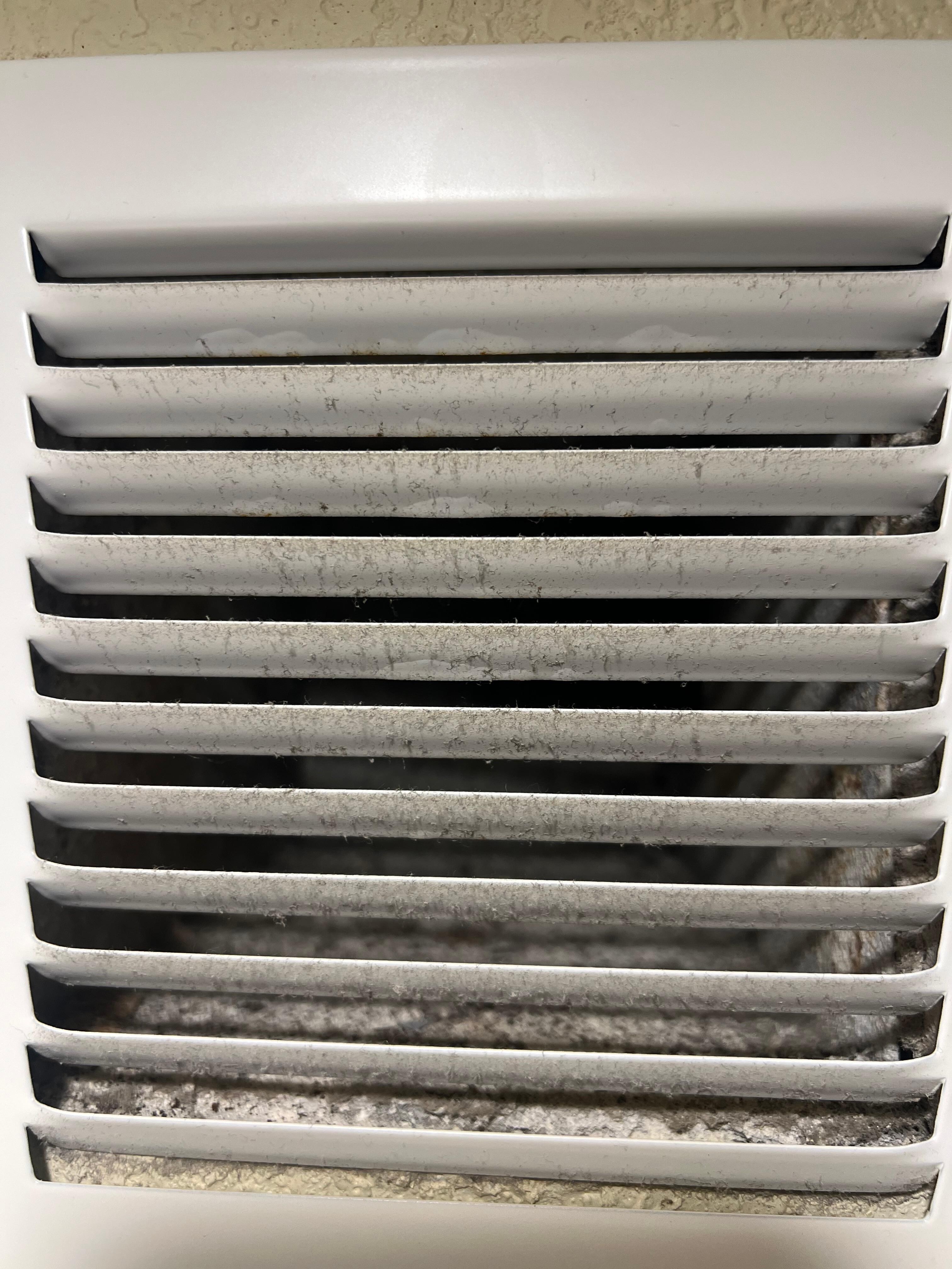 Dust and mold in air vents
