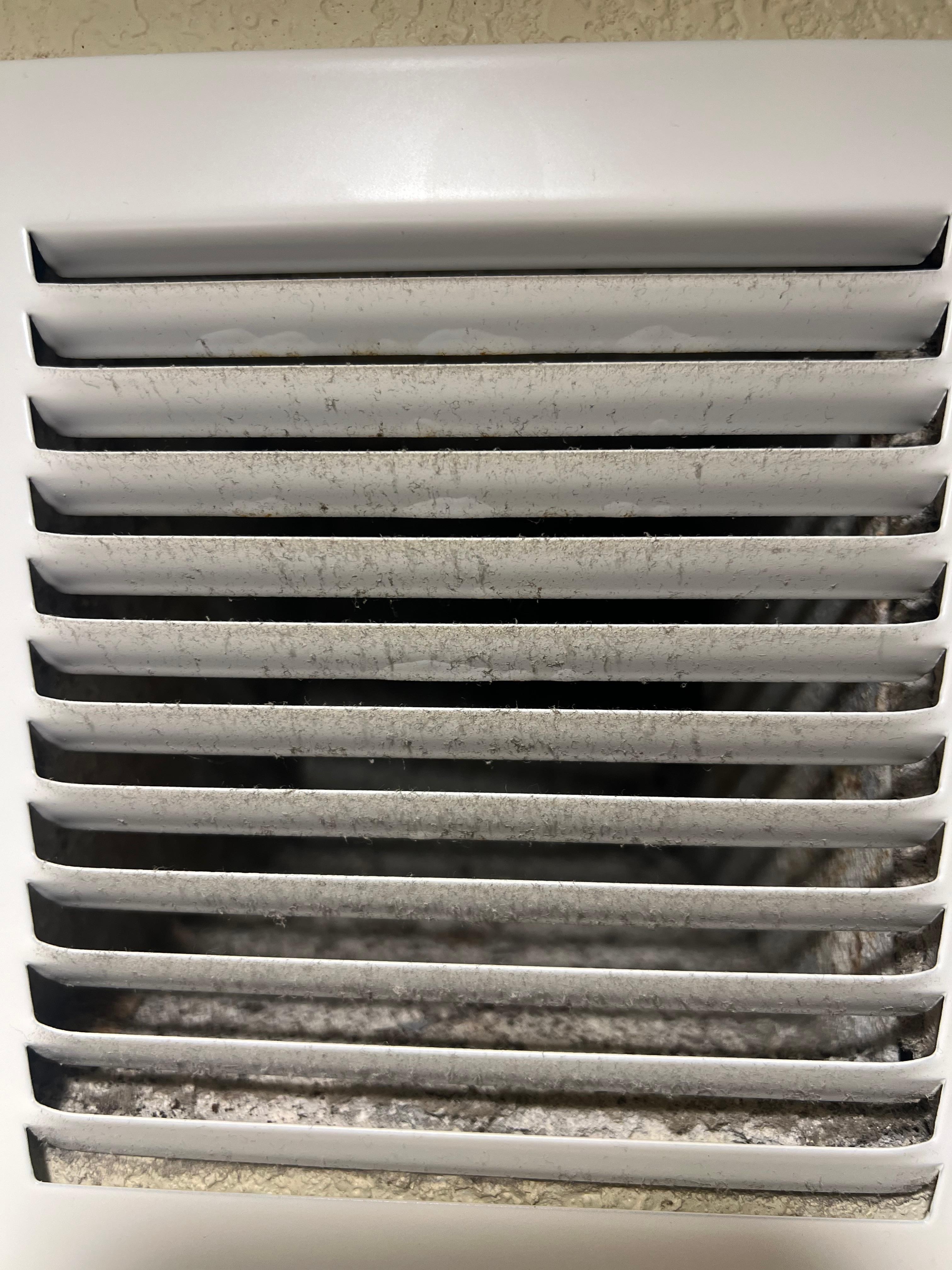 Dust and mold in air vents