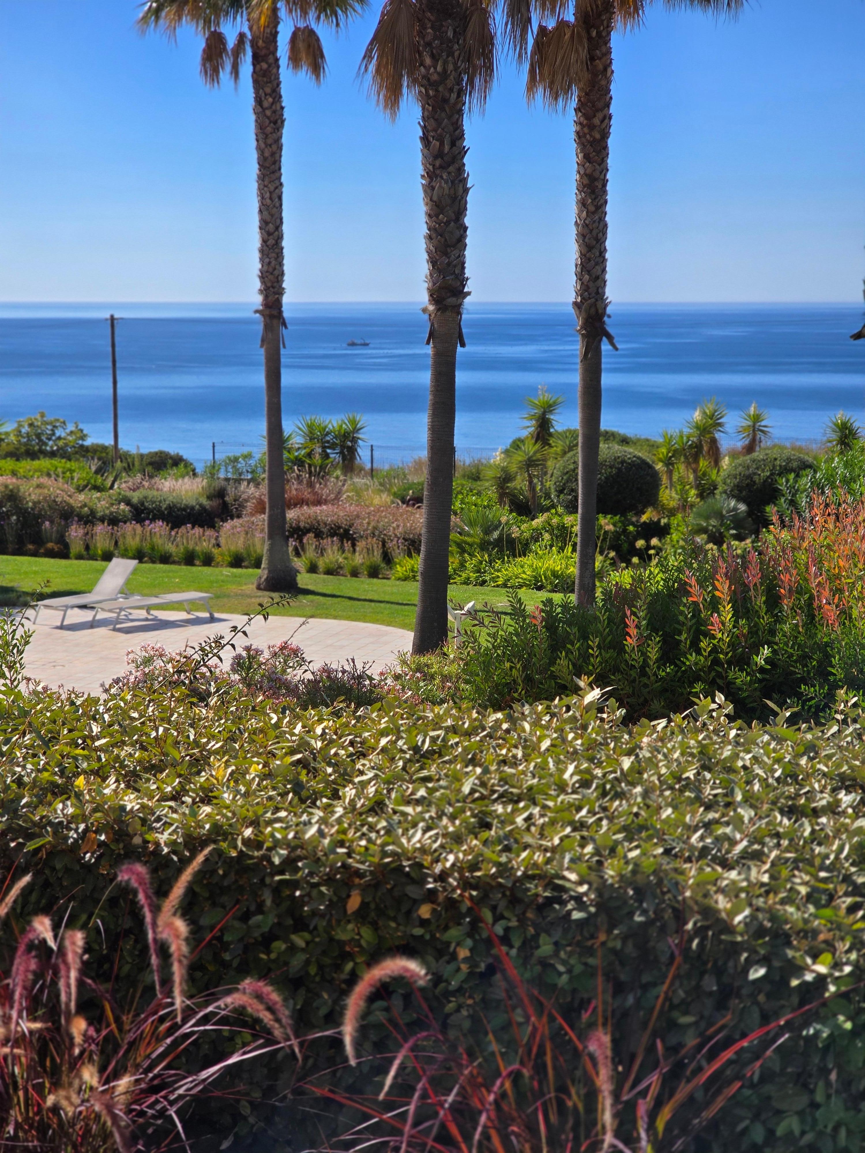 Daytime view from apartment terrace