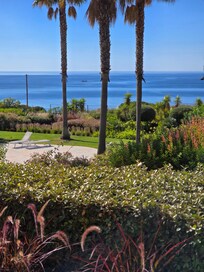 Daytime view from apartment terrace