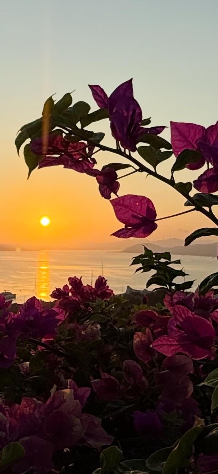 Sun rise from terrace