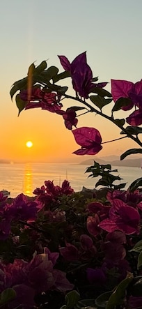 Sun rise from terrace