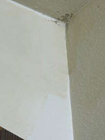 Small example of what looked like black mold on ceiling in restroom, but was all over but could not get a clear photo.