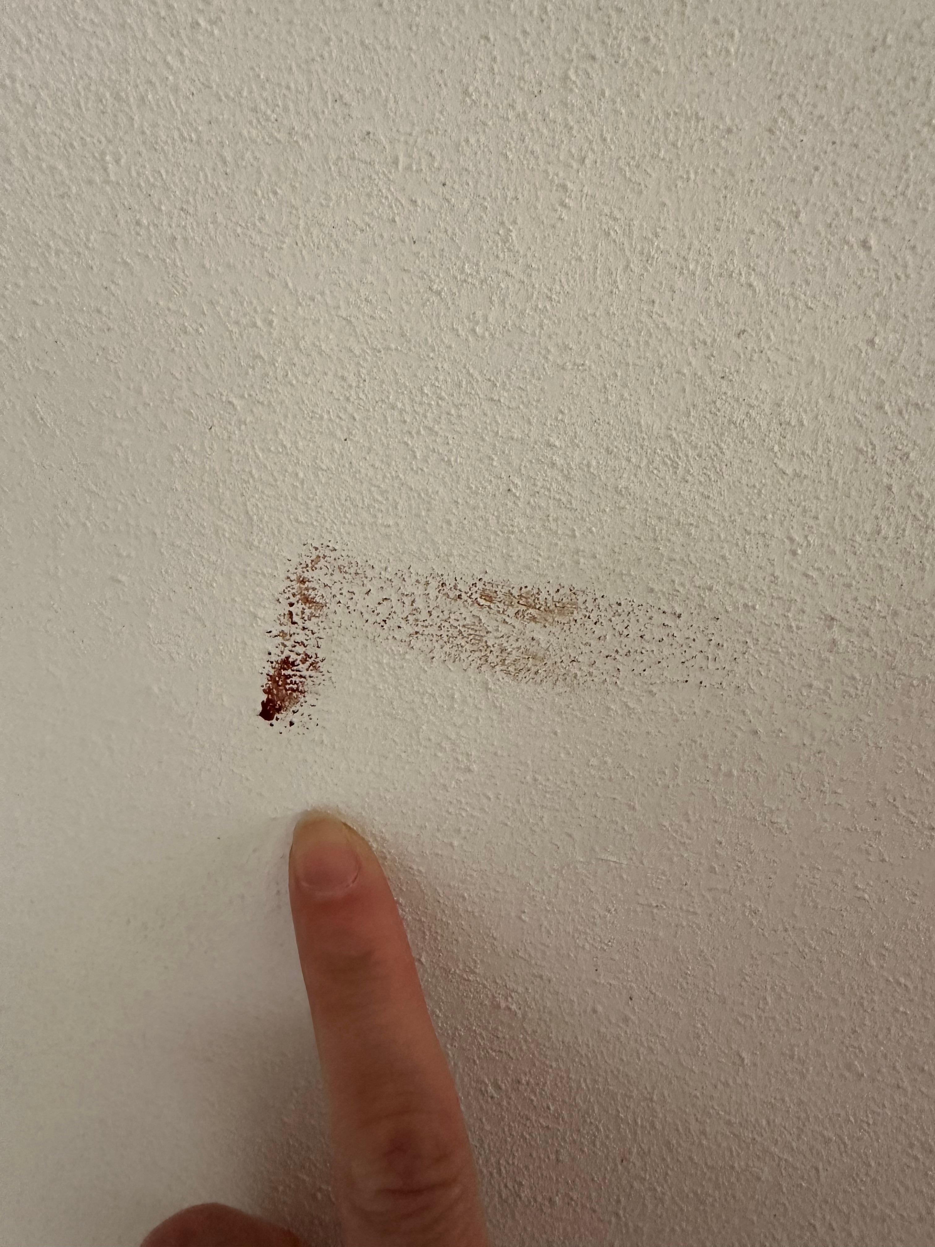 Blood stain on the wall presumably from a mosquito? 