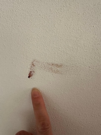 Blood stain on the wall presumably from a mosquito?