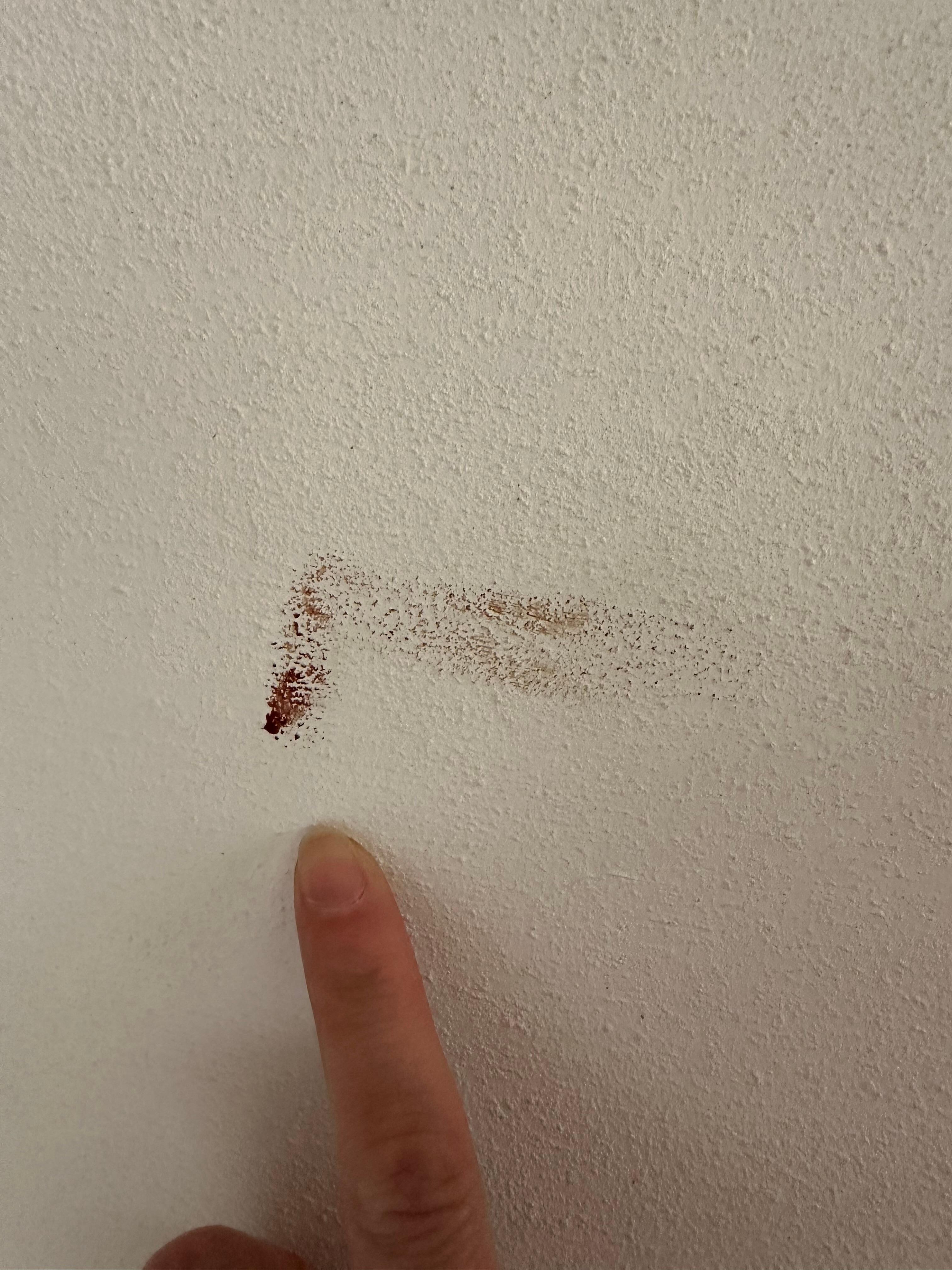 Blood stain on the wall presumably from a mosquito? 